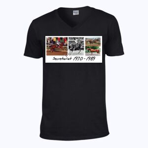 Softstyle™ v-neck t-shirt Thumbnail