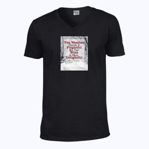 Softstyle™ v-neck t-shirt Thumbnail