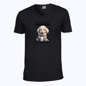 Softstyle™ v-neck t-shirt Thumbnail