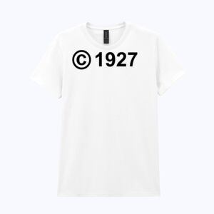 Heavy Cotton™ women's t-shirt Thumbnail