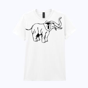 Heavy Cotton™ women's t-shirt Thumbnail