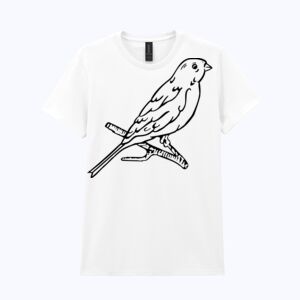 Heavy Cotton™ women's t-shirt Thumbnail