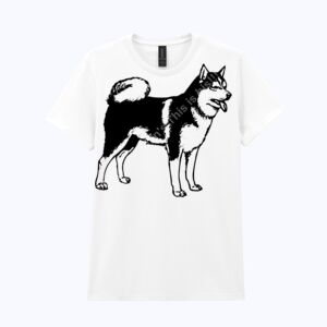 Heavy Cotton™ women's t-shirt Thumbnail