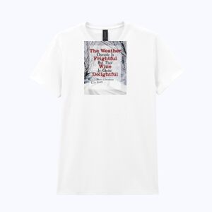 Heavy Cotton™ women's t-shirt Thumbnail