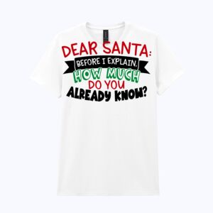 Heavy Cotton™ women's t-shirt Thumbnail
