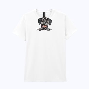 Heavy Cotton™ women's t-shirt Thumbnail
