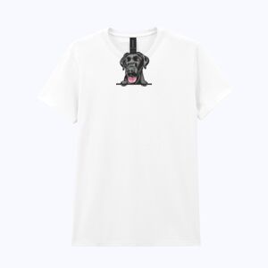 Heavy Cotton™ women's t-shirt Thumbnail